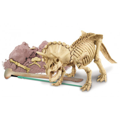 Triceratops - Dinosaure 